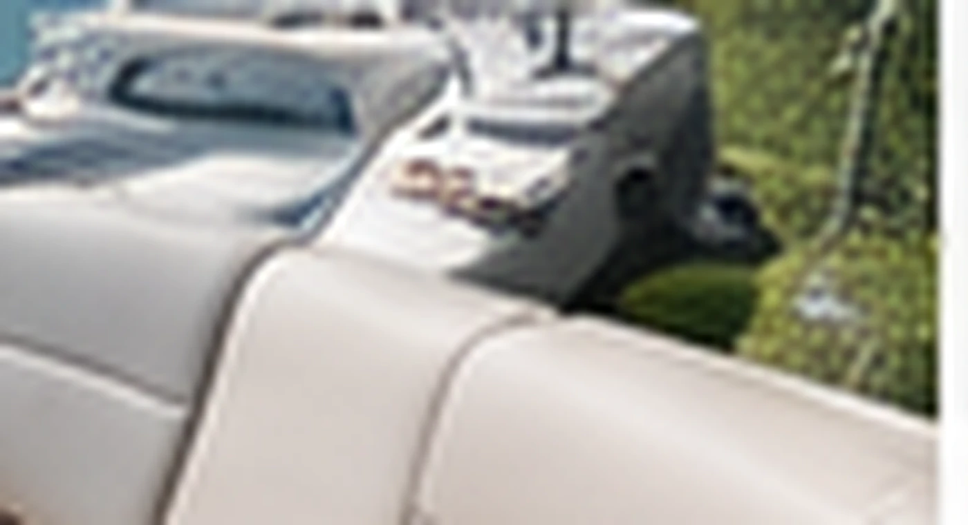Marine & Yacht silicone leather application
